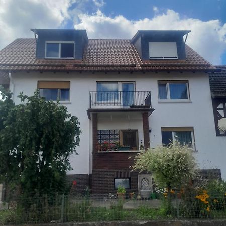 Zinimiri Daire Freiensteinau Dış mekan fotoğraf
